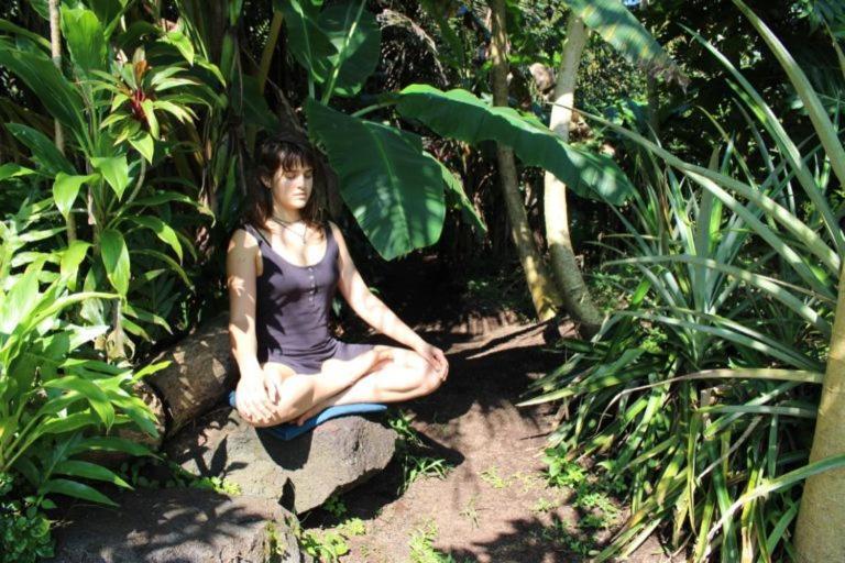 Paradise Eco Village Pahoa Kültér fotó