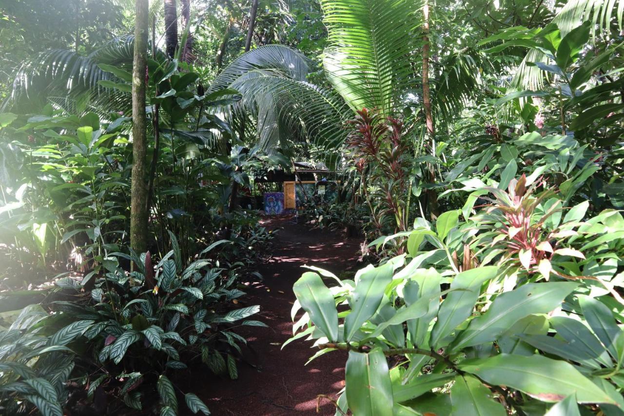 Paradise Eco Village Pahoa Kültér fotó