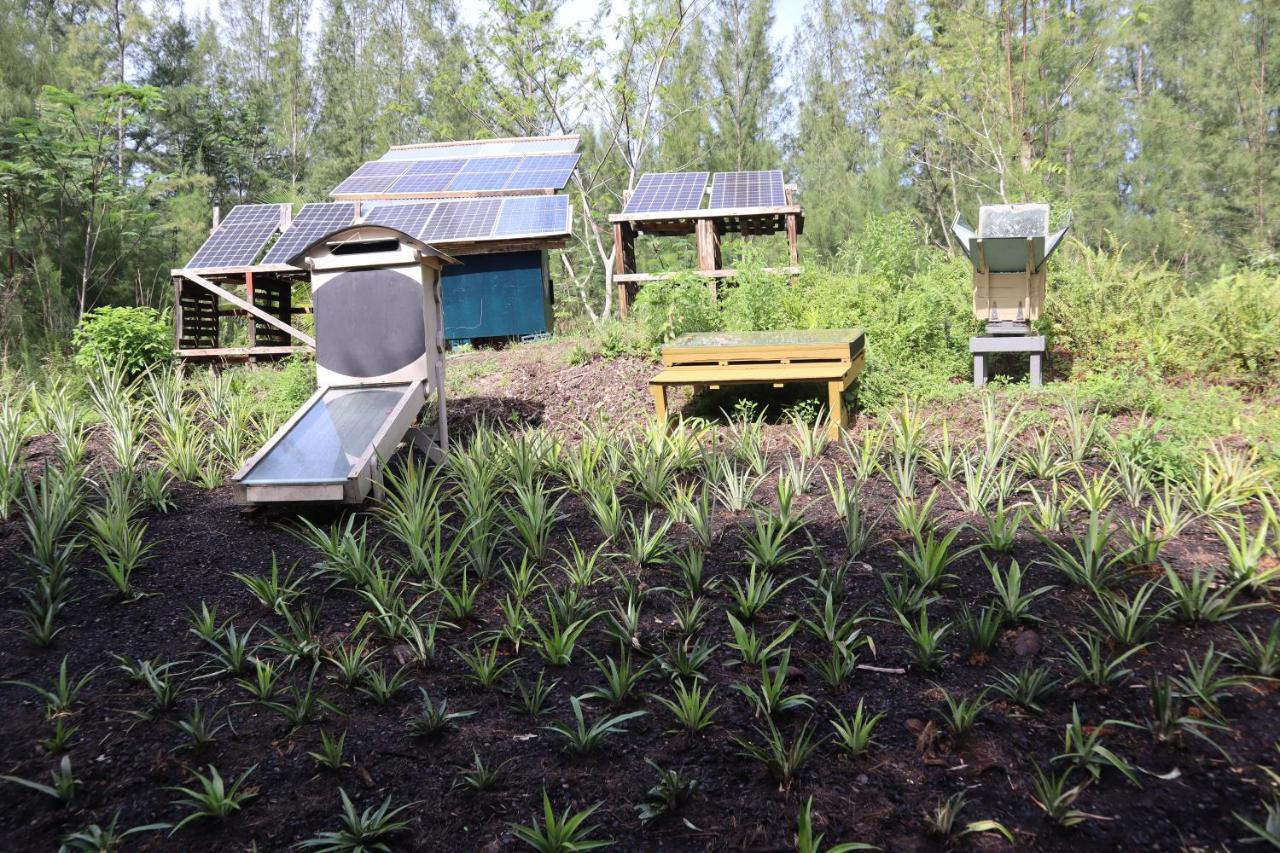 Paradise Eco Village Pahoa Kültér fotó