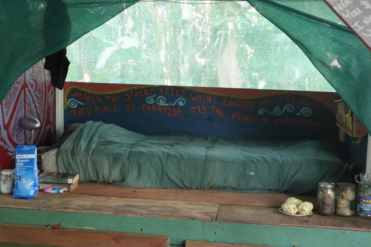 Paradise Eco Village Pahoa Kültér fotó