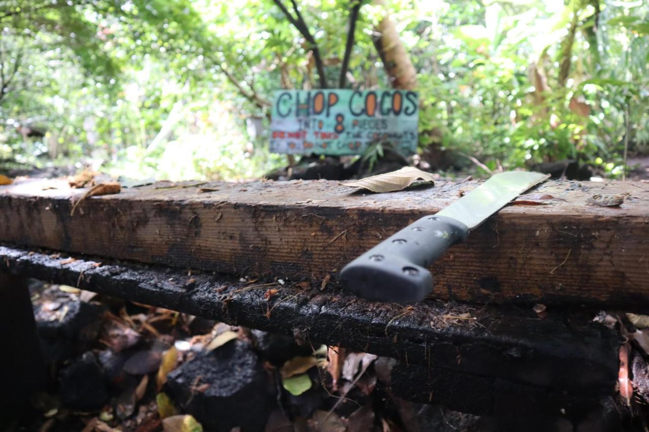 Paradise Eco Village Pahoa Kültér fotó